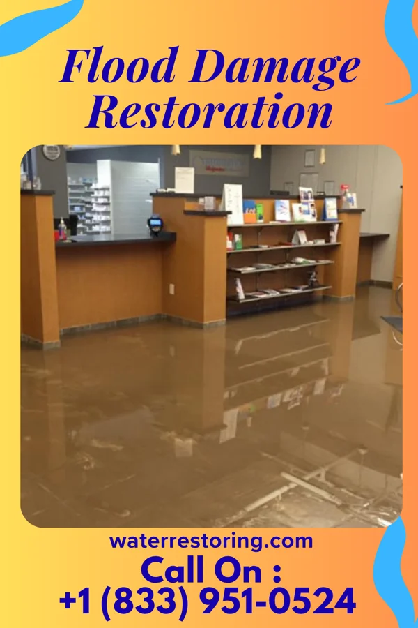 Flood Damage Restoration in Mullins, SC